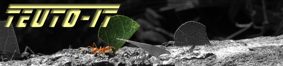 T-IT Header